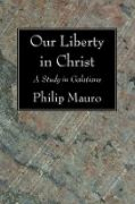 Bild von Our Liberty in Christ (eBook)