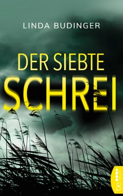 Bild von Der siebte Schrei (eBook)