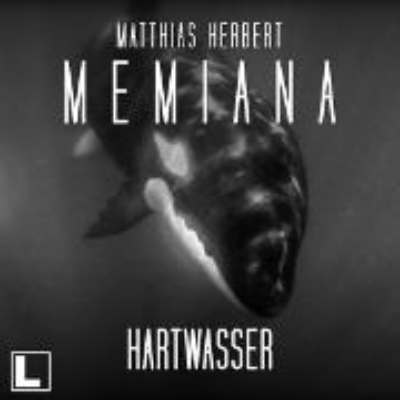 Bild von Hartwasser (Audio Download)