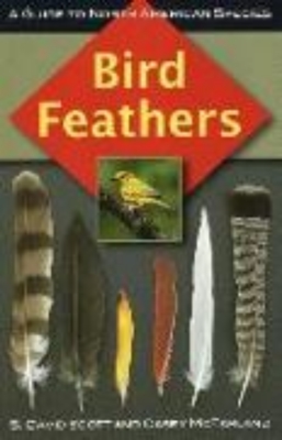 Bild von Bird Feathers