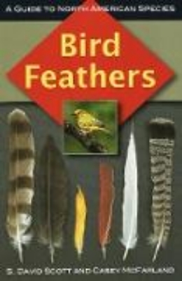 Bild von Bird Feathers (eBook)