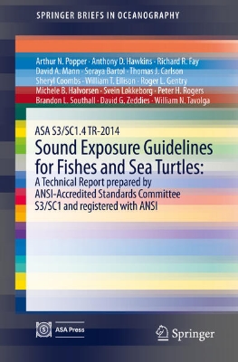 Bild von ASA S3/SC1.4 TR-2014 Sound Exposure Guidelines for Fishes and Sea Turtles: A Technical Report prepared by ANSI-Accredited Standards Committee S3/SC1 and registered with ANSI