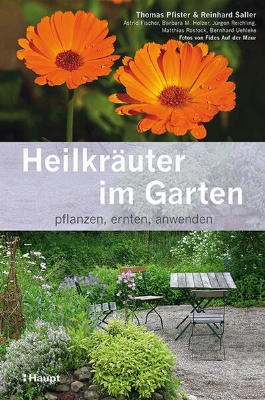 Bild von Heilkräuter im Garten