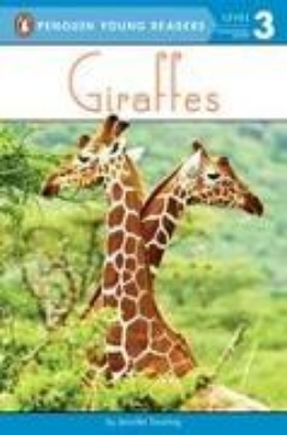 Bild von Giraffes