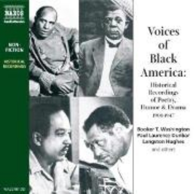 Bild von Voices of Black America (Audio Download)