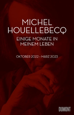 Bild zu Einige Monate in meinem Leben (eBook)