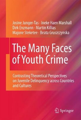 Bild von The Many Faces of Youth Crime (eBook)