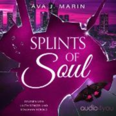 Bild zu Splints of Soul (Audio Download)