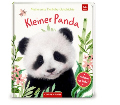 Bild von Meine erste Tierbaby-Geschichte: Kleiner Panda