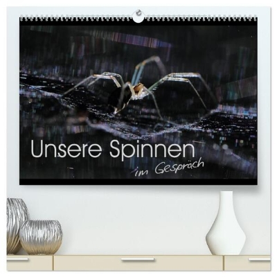 Bild von Unsere Spinnen - im Gespräch (hochwertiger Premium Wandkalender 2025 DIN A2 quer), Kunstdruck in Hochglanz