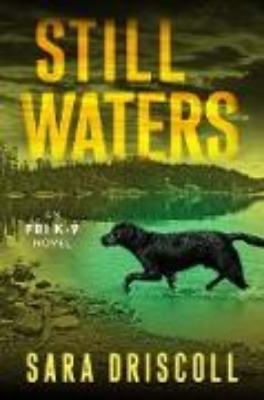 Bild von Still Waters (eBook)