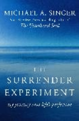 Bild von The Surrender Experiment