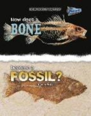 Bild von How Does a Bone Become a Fossil?