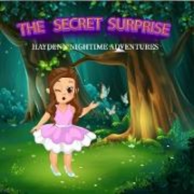 Bild von The Secret Surprise (Hayden's Nighttime Adventures, #1) (eBook)