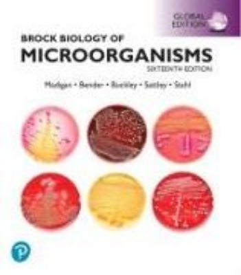 Bild von Brock Biology of Microorganisms Biology, Global Edition + Mastering Biology with Pearson eText (Package)