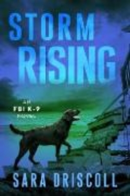 Bild zu Storm Rising (eBook)