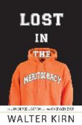 Bild von Lost in the Meritocracy (eBook)