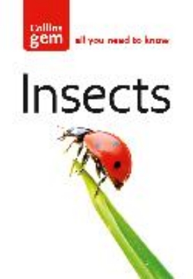 Bild von Insects