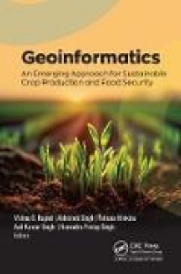 Bild von Geoinformatics (eBook)