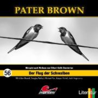 Bild von Der Flug der Schwalben (Audio Download)