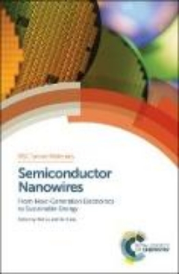 Bild von Semiconductor Nanowires (eBook)