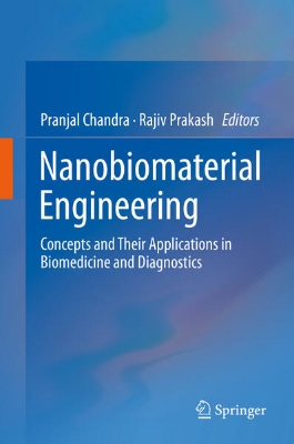 Bild von Nanobiomaterial Engineering